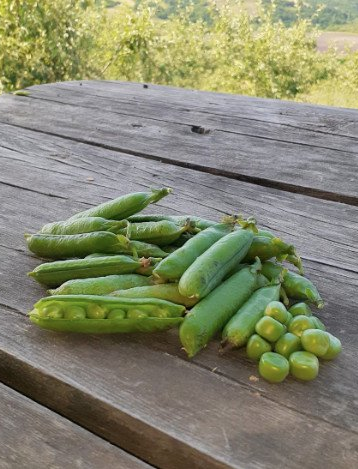 Organik Bezelye (1kg)