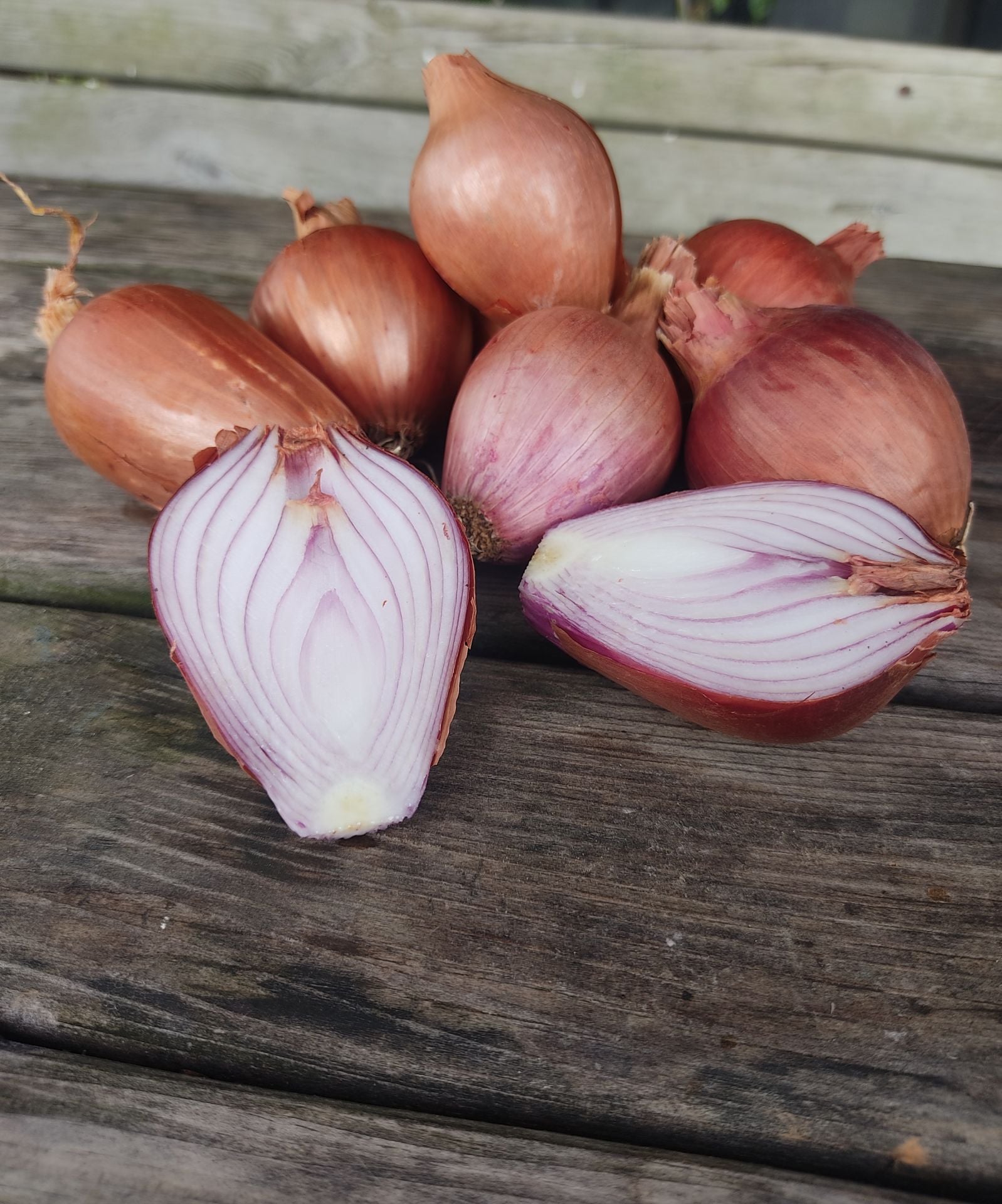 Organik Kuru Soğan (1Kg)